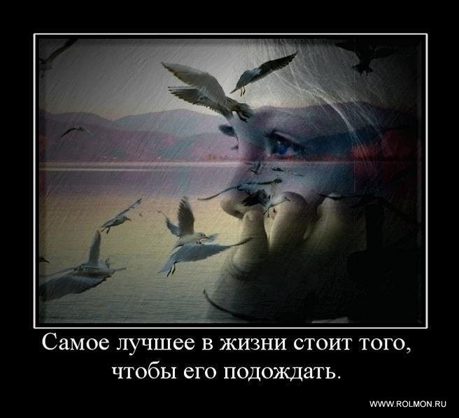 Саша Фомин | Запорожье