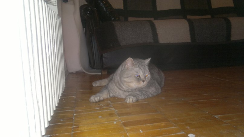 Антон Барковский Ky! | Волгоград