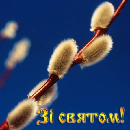 №65, Бодя Маць, Луцк №65, Бодя Маць, Луцк