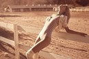 Фотография Малаховой Ирины
