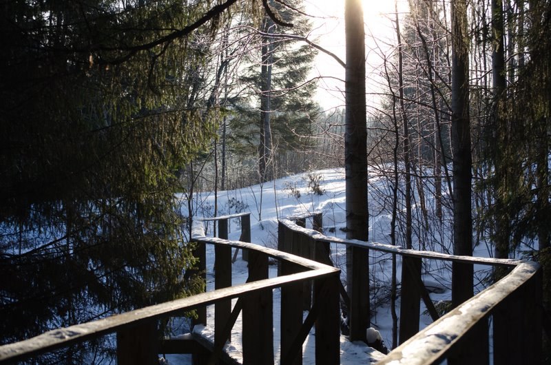 Сергей Свитков | Пермь