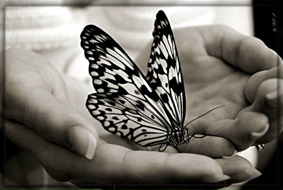 №5, Наталья Горская, Санкт-Петербург №5, Наталья Горская, Санкт-Петербург