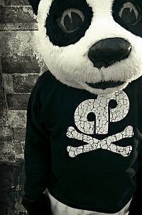 №25, Anvar Akhmedov, 38 лет, Side, Турция №25, Anvar Akhmedov, 38 лет, Side, Турция