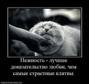 Фотография Шерышевой Валентины