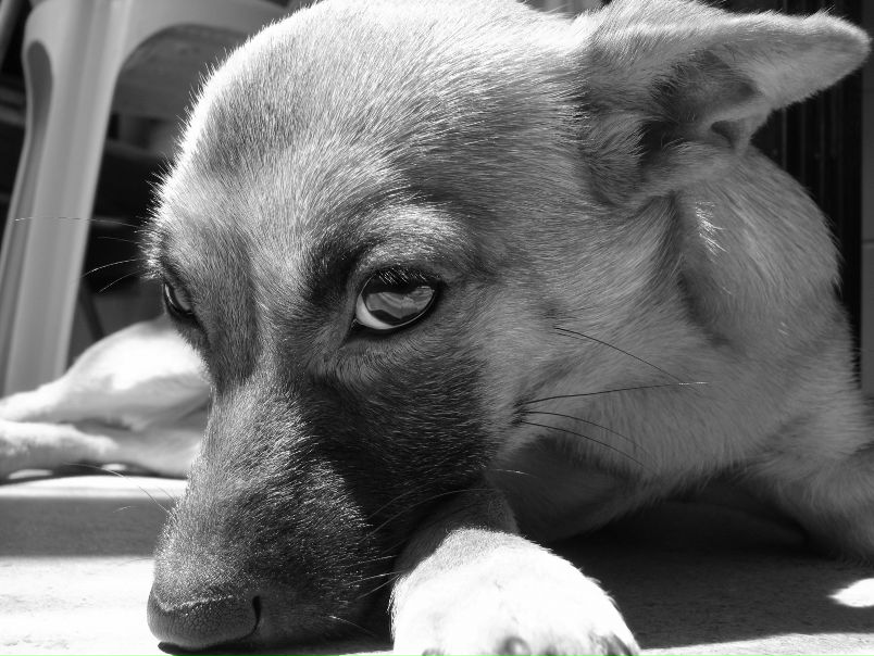 №21, Bodik Kozak, 36 лет, Львов №21, Bodik Kozak, 36 лет, Львов