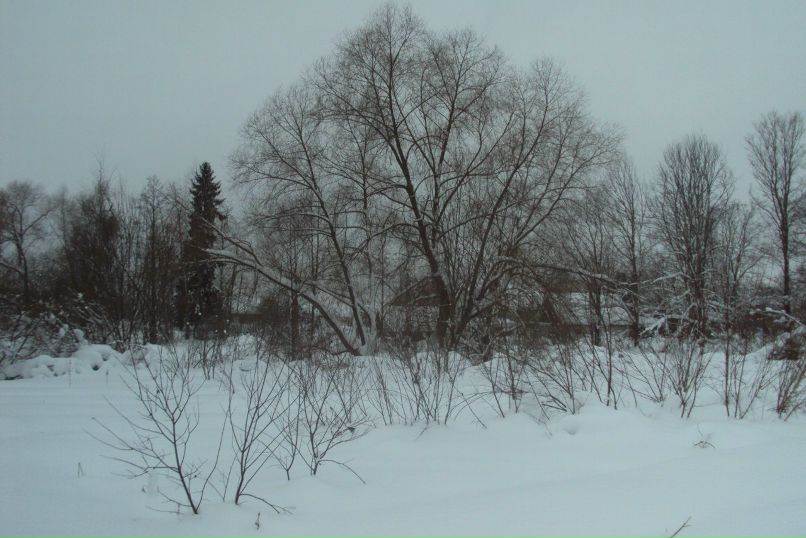 Владимир Михайлов | Воронеж