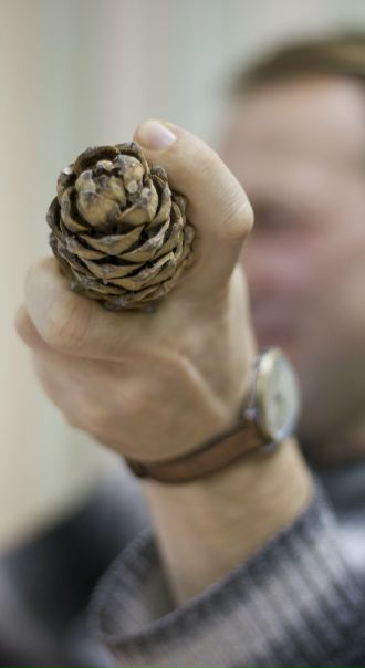 №55, Виктор Бушмелев №55, Виктор Бушмелев