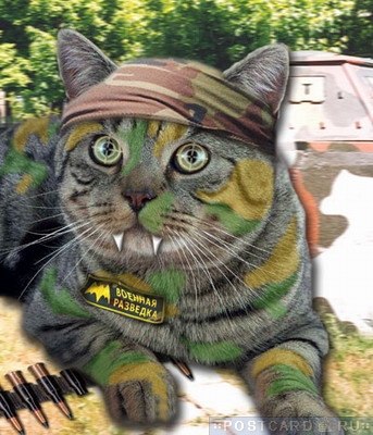 Александр Спрутов | Санкт-Петербург