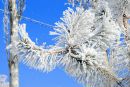 №10 Анастасия Ростовская 24.11: профиль, фото, статус - ВКонтакте