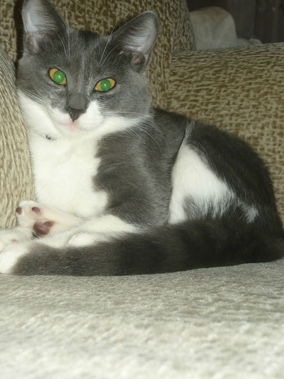 Оля Демакова | Йошкар-Ола