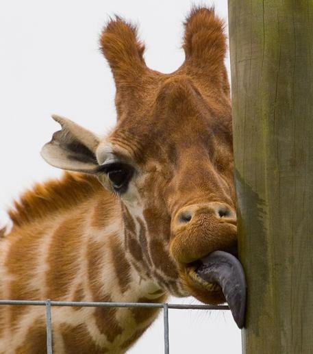 Валентина Куприянова & Valentina Kupriyanova & | Уфа