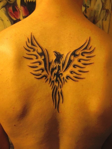 Тарас Кіба | Дрогобыч