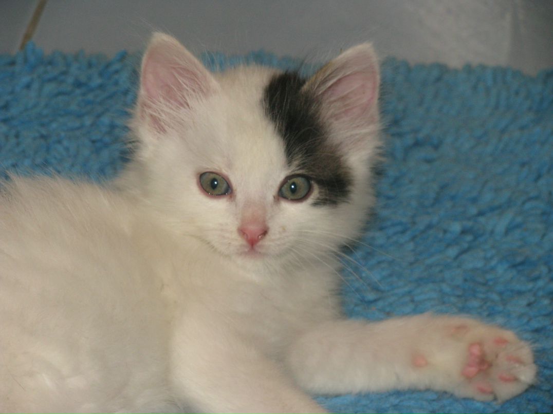 Анастасия Баралиева | София