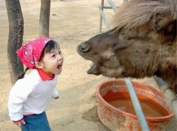 №12, Анна Карева №12, Анна Карева