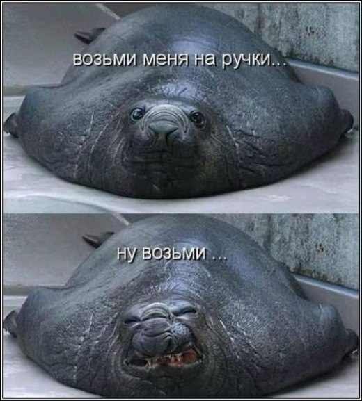 Эдуард Герман | Краснодар