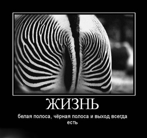 Антон Аматуни | Ростов-на-Дону