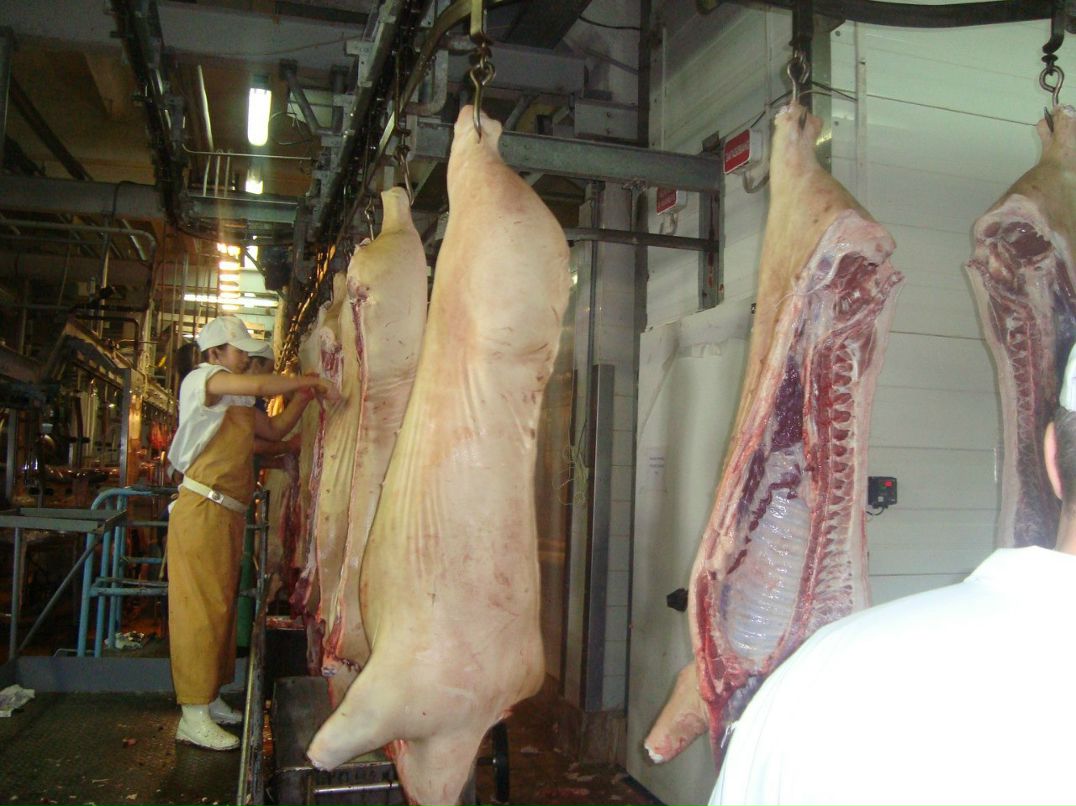 Макс Кузнецов | 