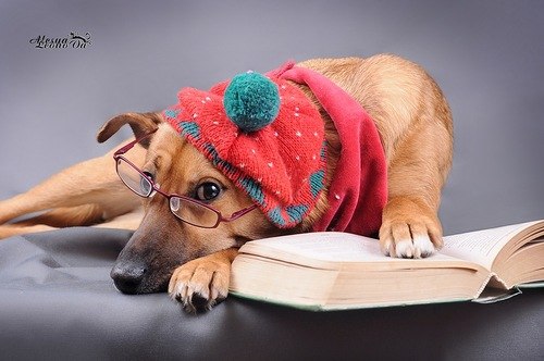 Мира Зеленина | Москва