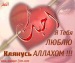 Мударис Нургалиев фотография #12