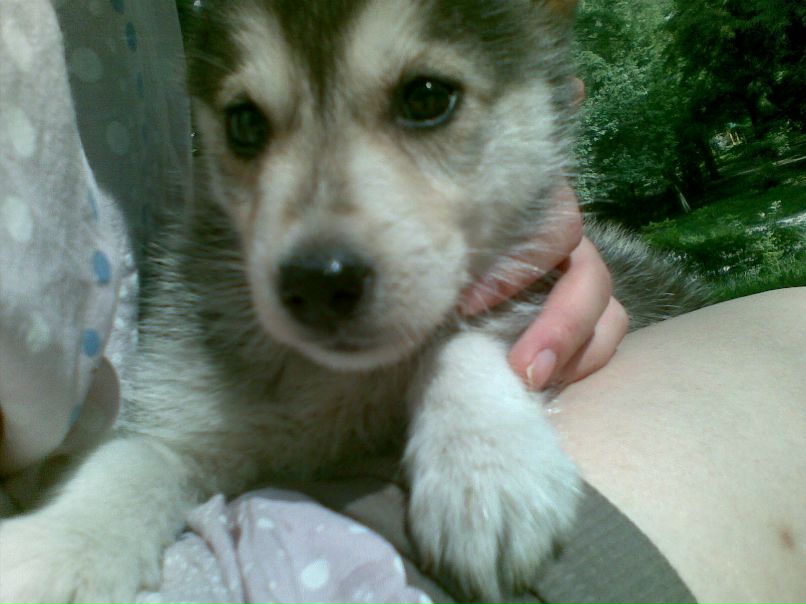 Лина Пасухина | Кривой Рог