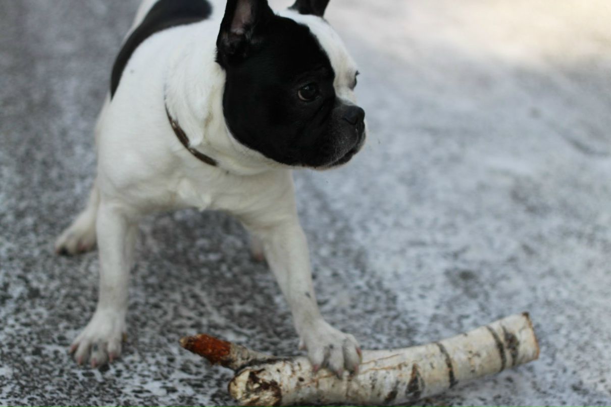 Иван Наумов | Тюмень