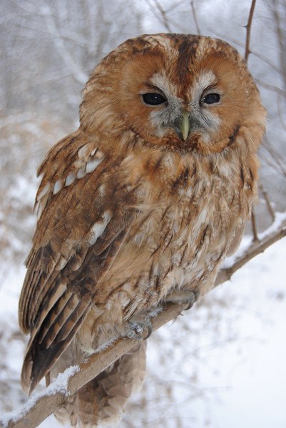 Анастасия Климова | Москва