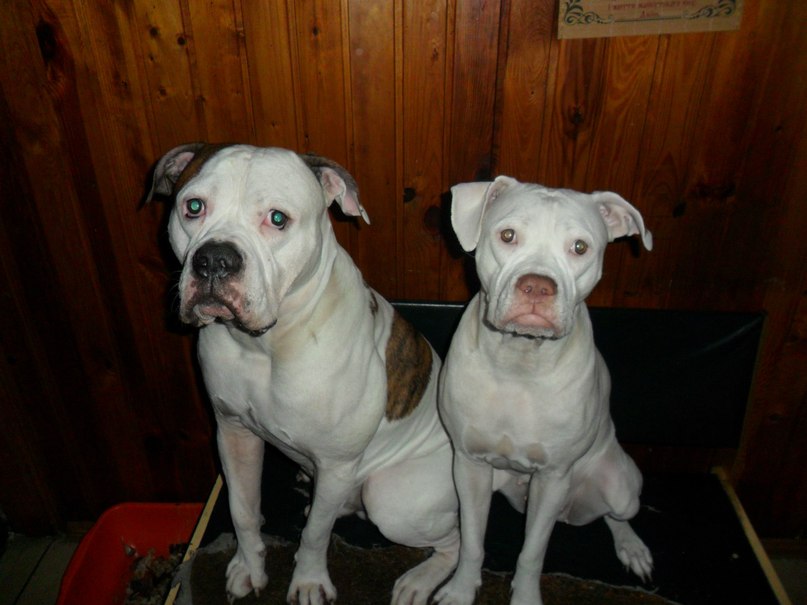 Жека Раджабов | Киев