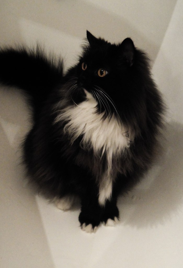 Катерина Войцех | Москва