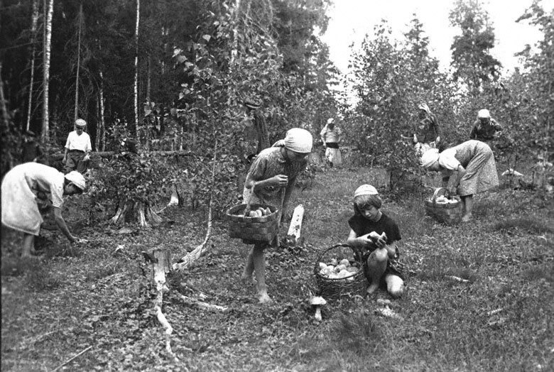 Павел Семенов | Сызрань