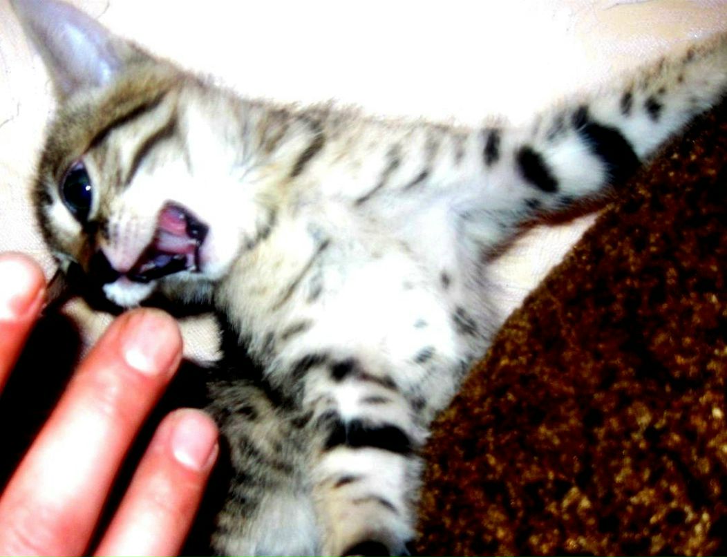 Руслан Алексеевич | Красноярск