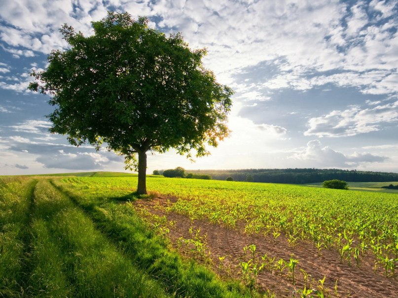 Светлана Такасаева | Якутск