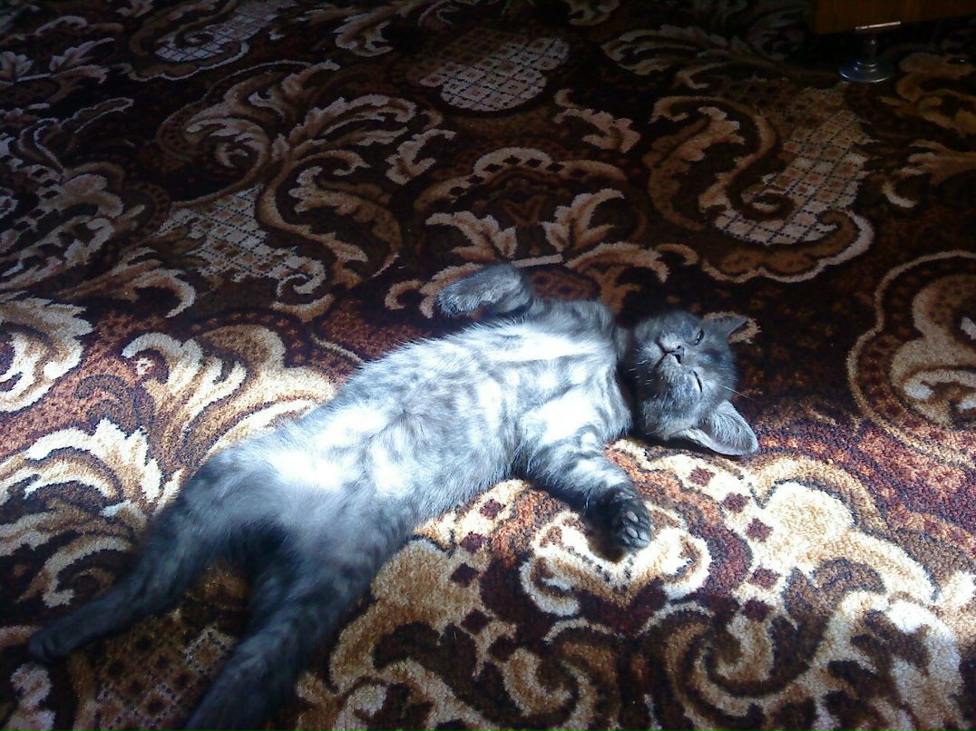 Илюха Тагатов | Коммунистический