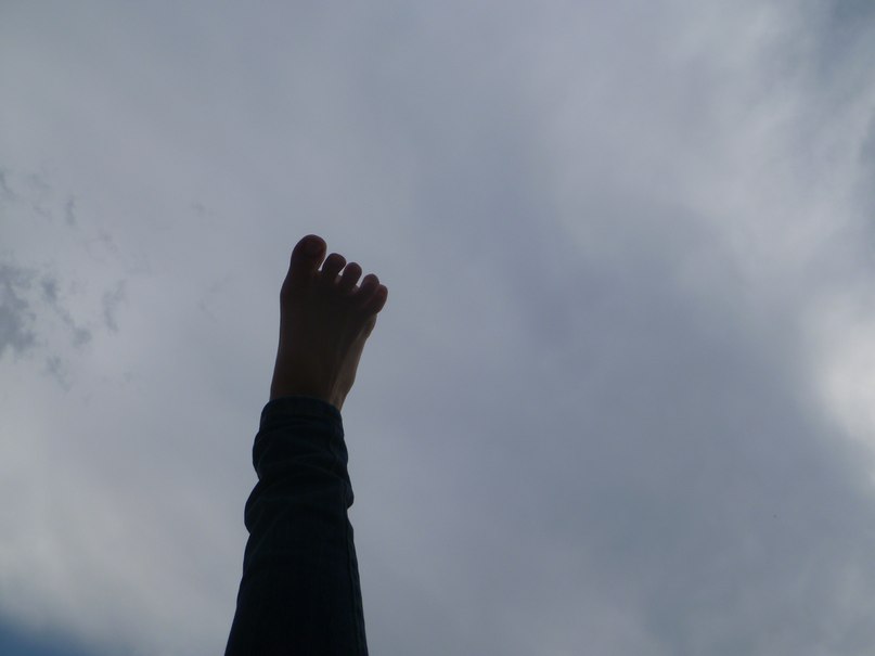 Татьяна Гривицкая ● | Витебск