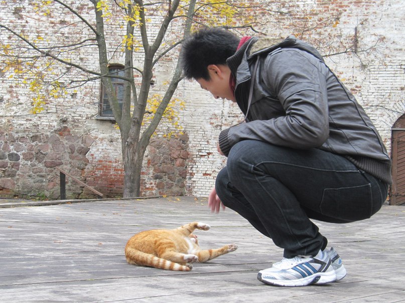 Жуй Ли | Санкт-Петербург