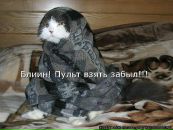 №2 Лана Лебедева 28.11.1977: профиль, фото, статус - ВКонтакте