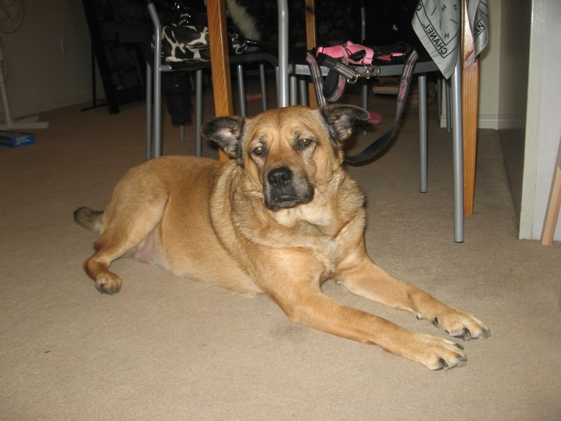 Анастасия Римская | Toronto