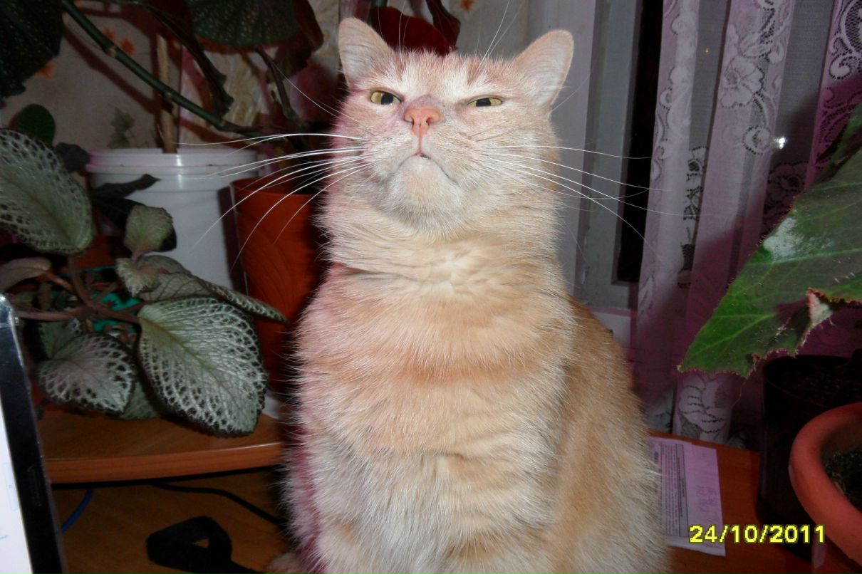 Галина Красинская | Мончегорск