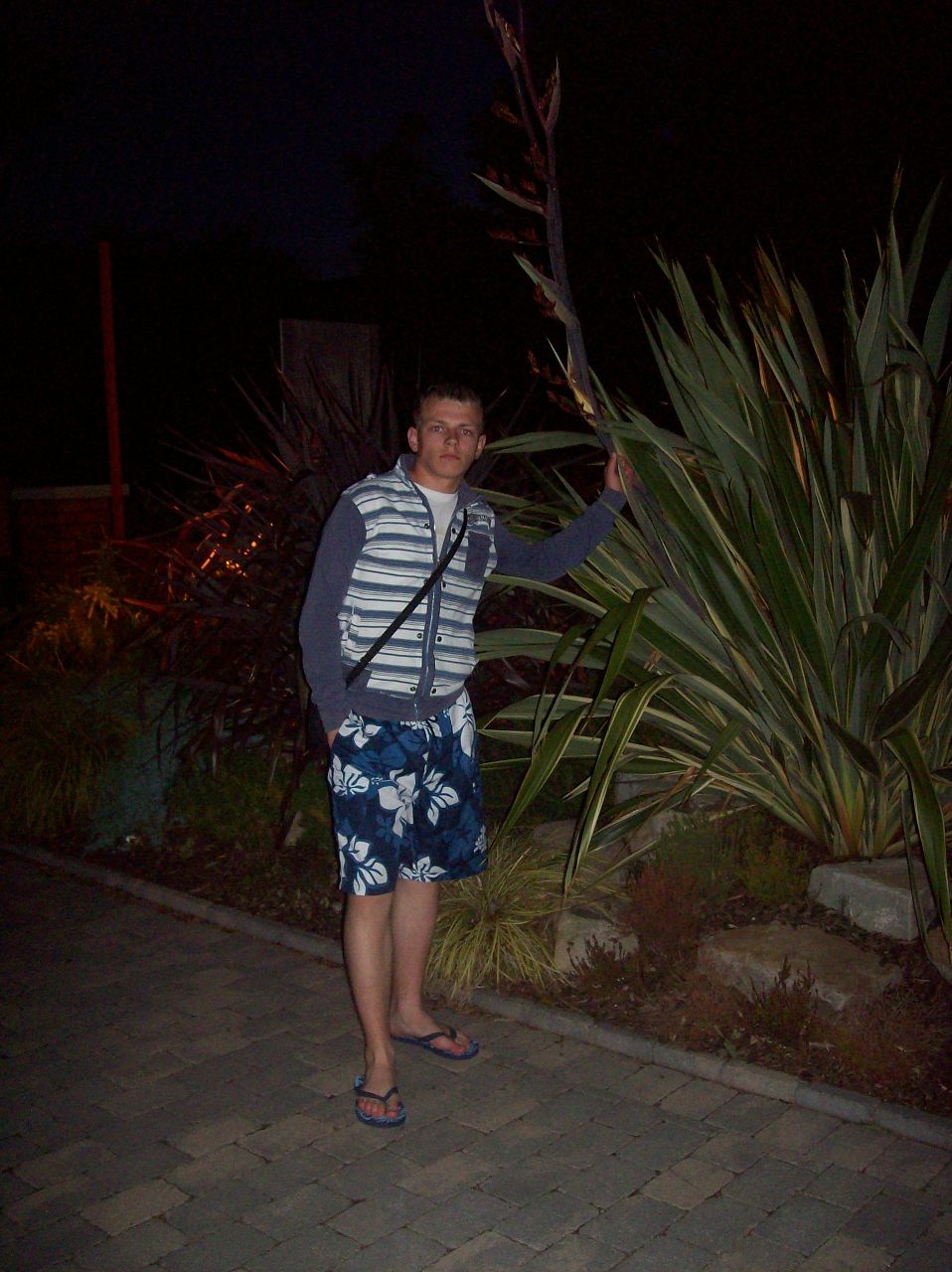 Janis Sarkans | Den Haag