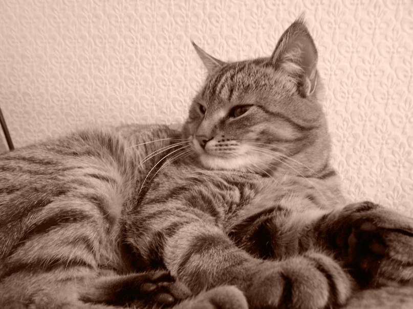 Евгений Кашук | Новомосковск