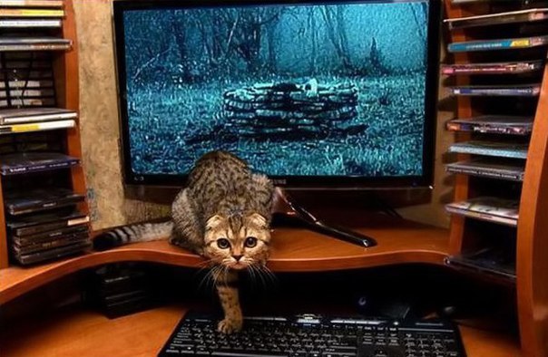 Юрий Смирнов | Нижний Тагил