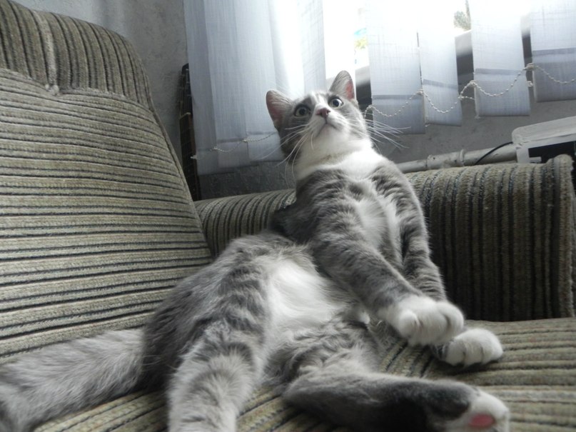 Максим Мусапиров | Санкт-Петербург