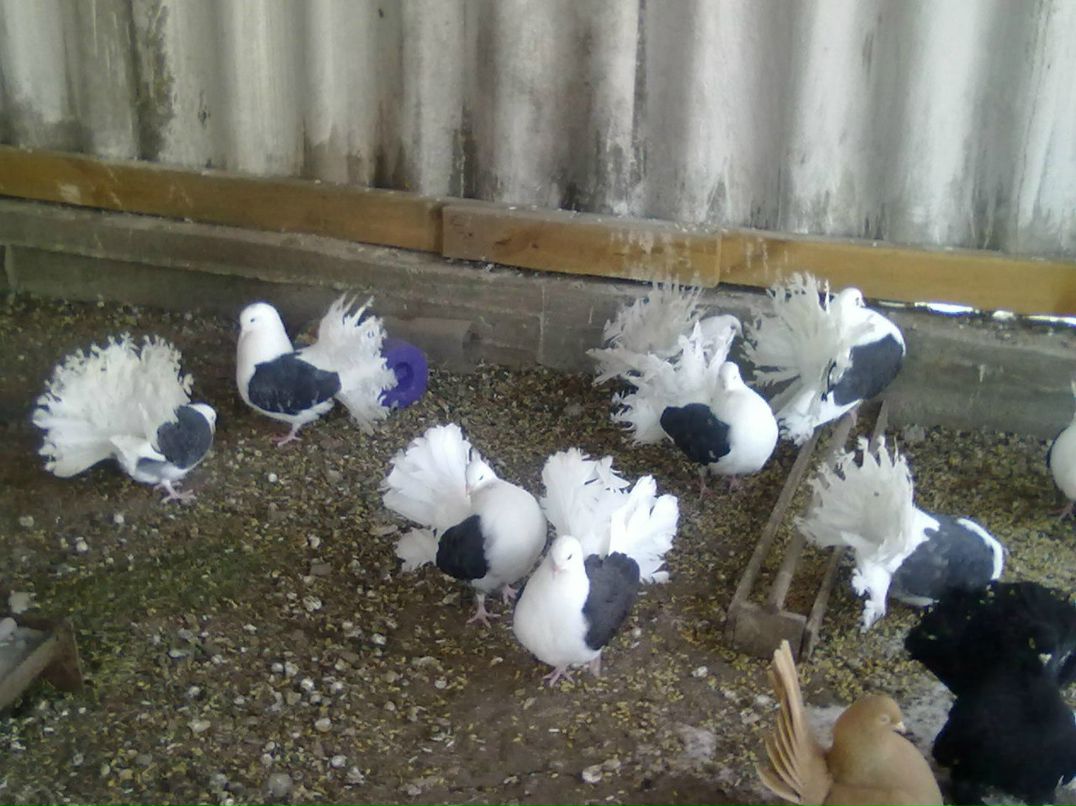 Саша Демьяненко | Новоазовск