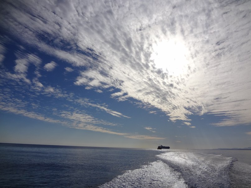 Светлана Новикова | Нижний Новгород