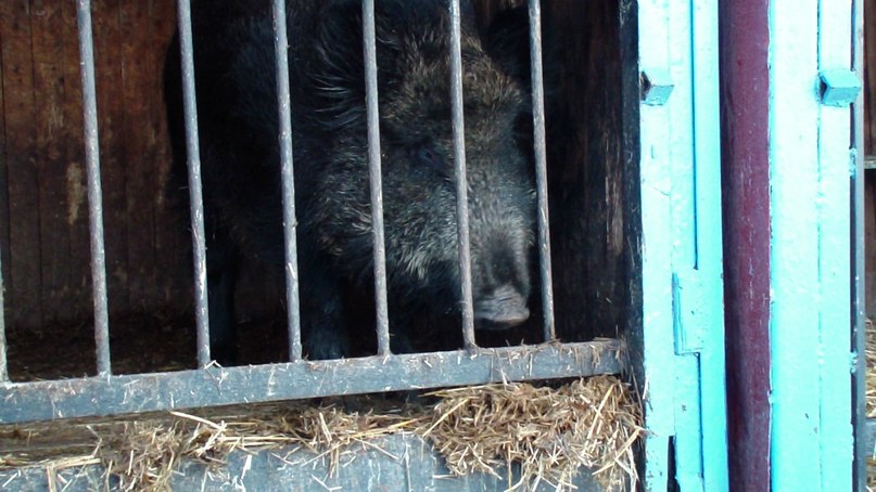 Марат Валиулин | Набережные Челны