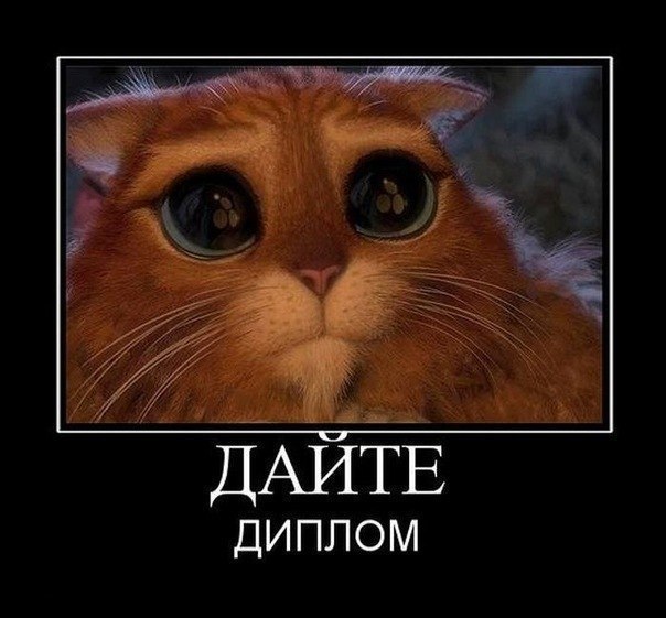 Алёна Фитерман | Одесса