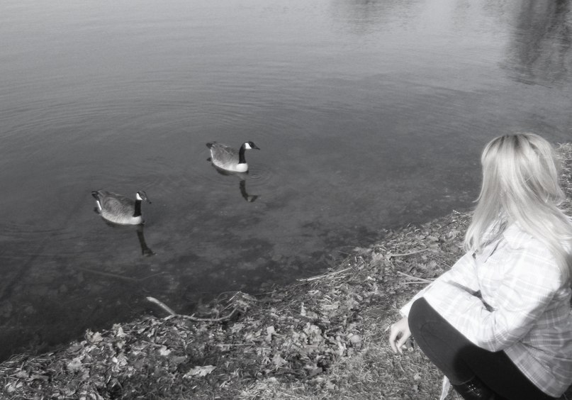 Елена Веренис | Chicago