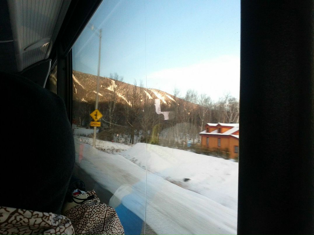 Марта Милевская | Toronto