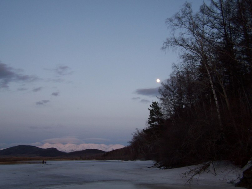 Павел Серкин | Кумора