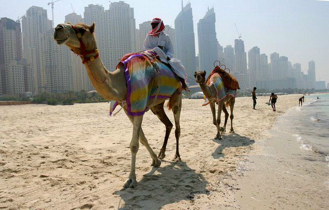 №16, Даниил Генералов №16, Даниил Генералов