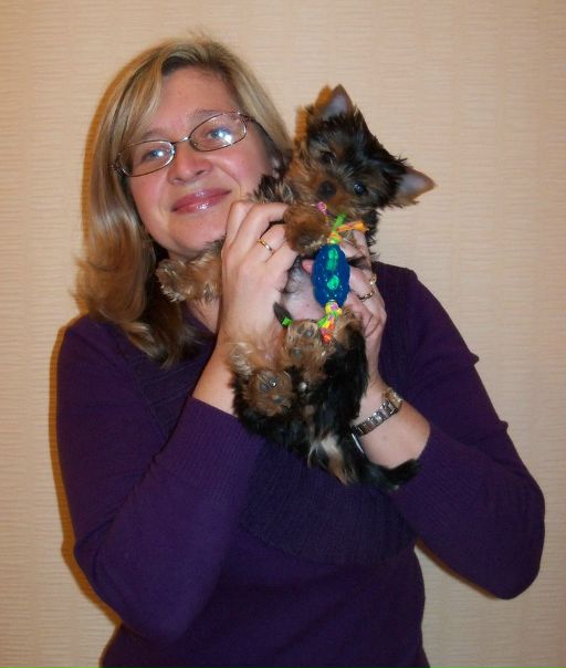 №61, Елена Кокорина, Севастополь №61, Елена Кокорина, Севастополь